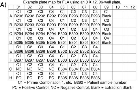 FLA experiment 96-well plate map; primer, control, blank layout; sample organization chart.