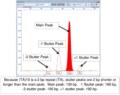 Electropherogram showing DNA repeat stutter peaks; main peak at 190 bp; diagram analysis.