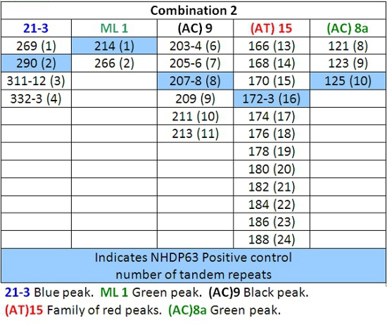 Tandem repeat analysis table; indicates NHDP63 positive control with color-coded peak identification.