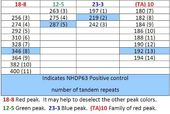 Tandem repeats table; NHDP63 control; allele peaks; data analysis for DNA profiling.