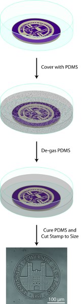 figure-protocol-2 figure-protocol-2