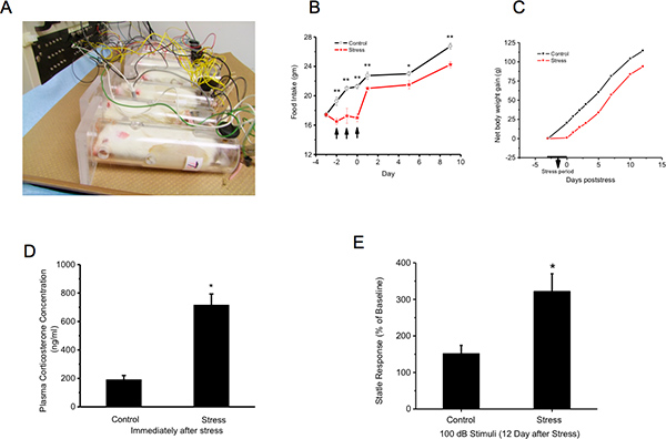 figure-protocol-1 Stress experiment setup with restrained rats; graphs show stress vs. control data analysis results.