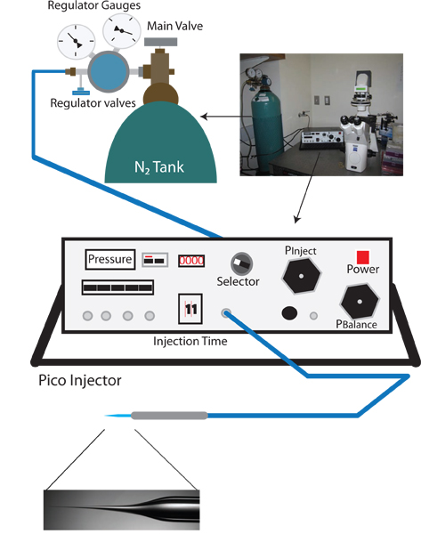 figure-protocol-1 Nitrogen tank setup diagram for pico injector in laboratory experiment.
