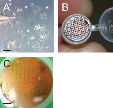 figure-protocol-3 Microchip diagrams for lab-on-a-chip systems; panels A-C show device designs, fabrication details.