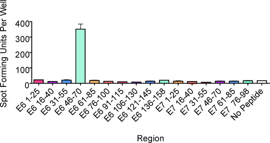 figure-protocol-2 ELISPOT assay bar chart; spot forming units per well across peptide regions; immune response analysis.