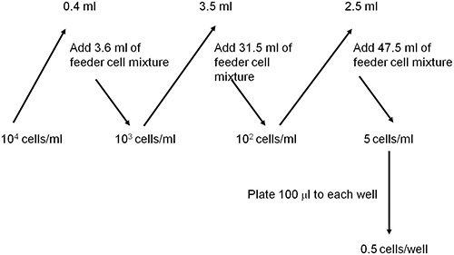 figure-protocol-3 Dilution process diagram: serial dilution, cell concentration, volume adjustments, feeder cell mixture.