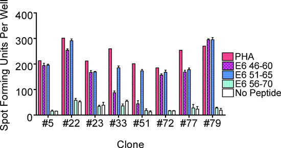 figure-protocol-4 ELISPOT assay results; bar chart of spot forming units vs. clone numbers for peptide variants.