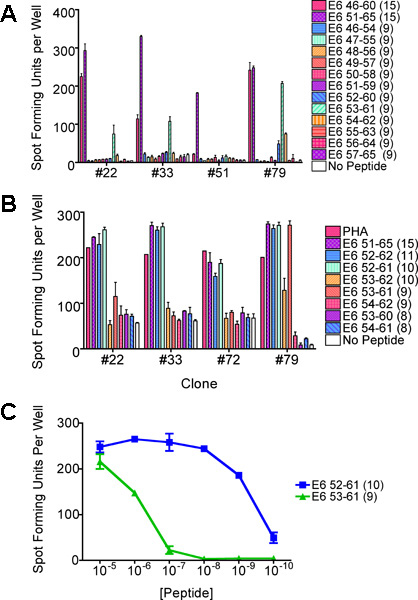 figure-protocol-6 Enzyme-linked immunospot assay results showing spot-forming units for various peptide clones.