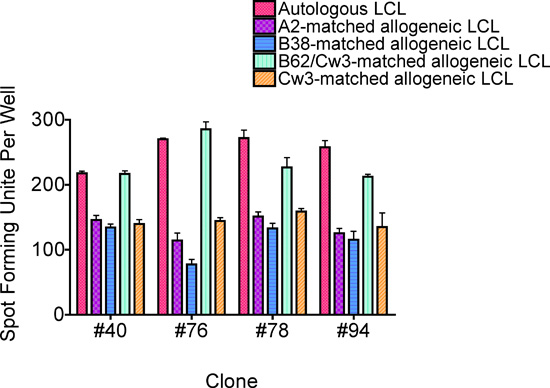 figure-protocol-7 Bar chart of LCL clone spot-forming units per well, comparing autologous and allogeneic matches.
