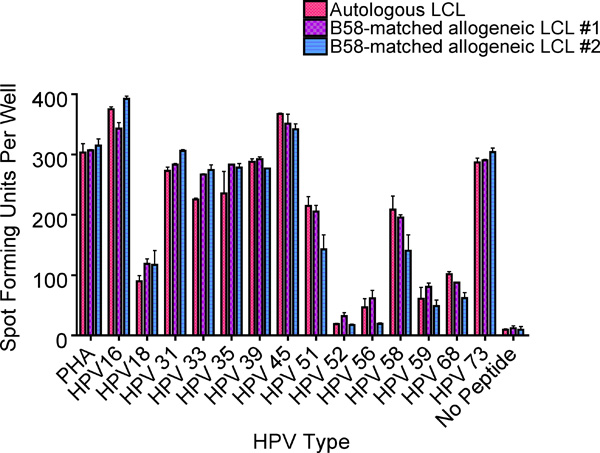 figure-protocol-8 HPV immune response graph; spot forming units per well; autologous vs. allogeneic LCL analysis.