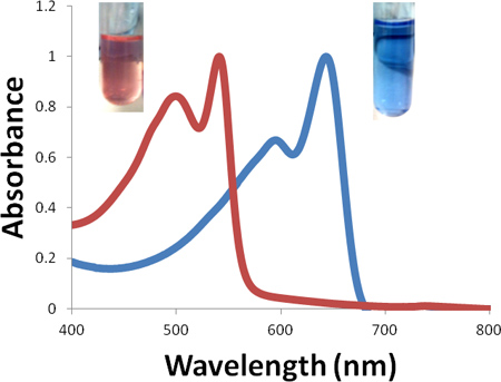 figure-protocol-2 Absorbance vs. Wavelength graph for spectroscopy, showing two samples with distinct spectral peaks.