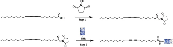 figure-protocol-3 Chemical reaction pathway diagram: esterification and amidation synthesis steps, showing chemical structures.