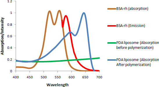 figure-protocol-4 Spectral analysis graph; protein emission, absorption; PDA liposome polymerization effect; wavelengths.