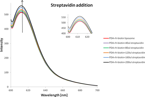 figure-protocol-10 Streptavidin addition; absorption spectrum graph; showing intensity changes in PDA-rh-biotin samples.
