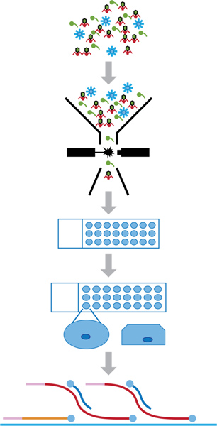 figure-protocol-1 figure-protocol-1