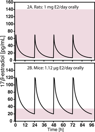 figure-protocol-2 Pharmacokinetic graph comparing 17β-estradiol levels in rats and mice after oral administration.