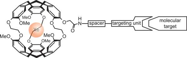 figure-protocol-9 用于检测特定生化靶标的官能化笼状隐窝烷示意图,包含包封的氙、连接臂和用于特异性结合的靶向单元。