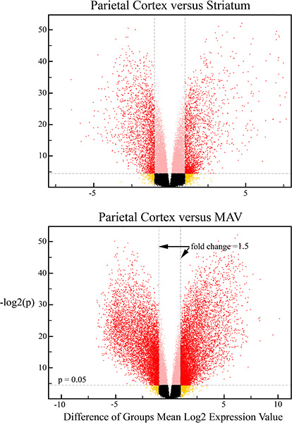 Volcano plots of differential gene expression between parietal cortex and striatum, MAV analysis.