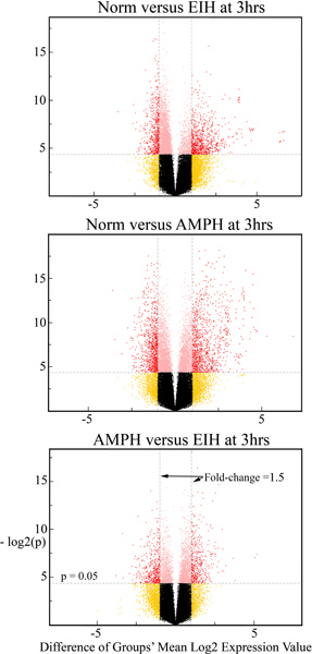 Volcano plot charts comparing Norm vs EIH and AMPH, showcasing gene expression changes at 3hrs.