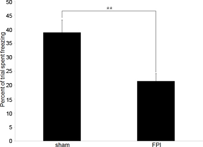 figure-protocol-2 Bar chart comparing percent trial freezing; sham vs FPI; significance indicated by asterisk.