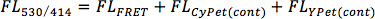 figure-protocol-1 FRET spectroscopy equation FL530/414 = FLFRET + FLCyPet(cont) + FLYPet(cont) in scientific analysis.