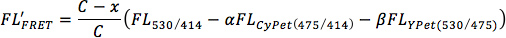 figure-protocol-3 Fluorescence energy transfer equation, FRET analysis formula, fluorescence study.