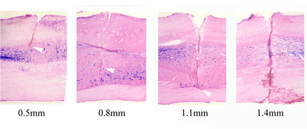 figure-results-3 figure-results-3