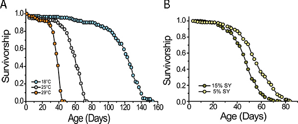 Survivorship curves; graphs of age vs survivorship at different temps (A) and concentration levels (B).