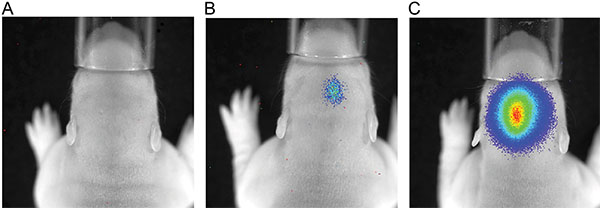 figure-results-3 figure-results-3