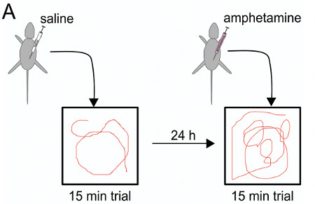 figure-results-8 figure-results-8