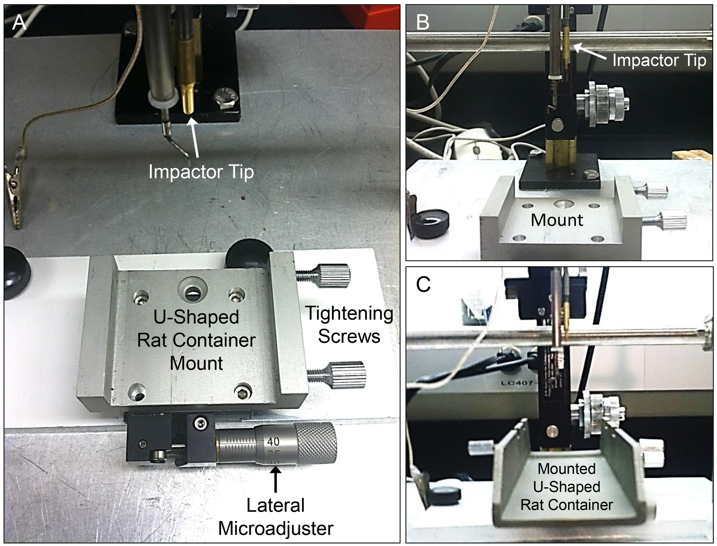 Rodent impactor setup with mount and adjustable impactor tip; diagram for neuroscience research.