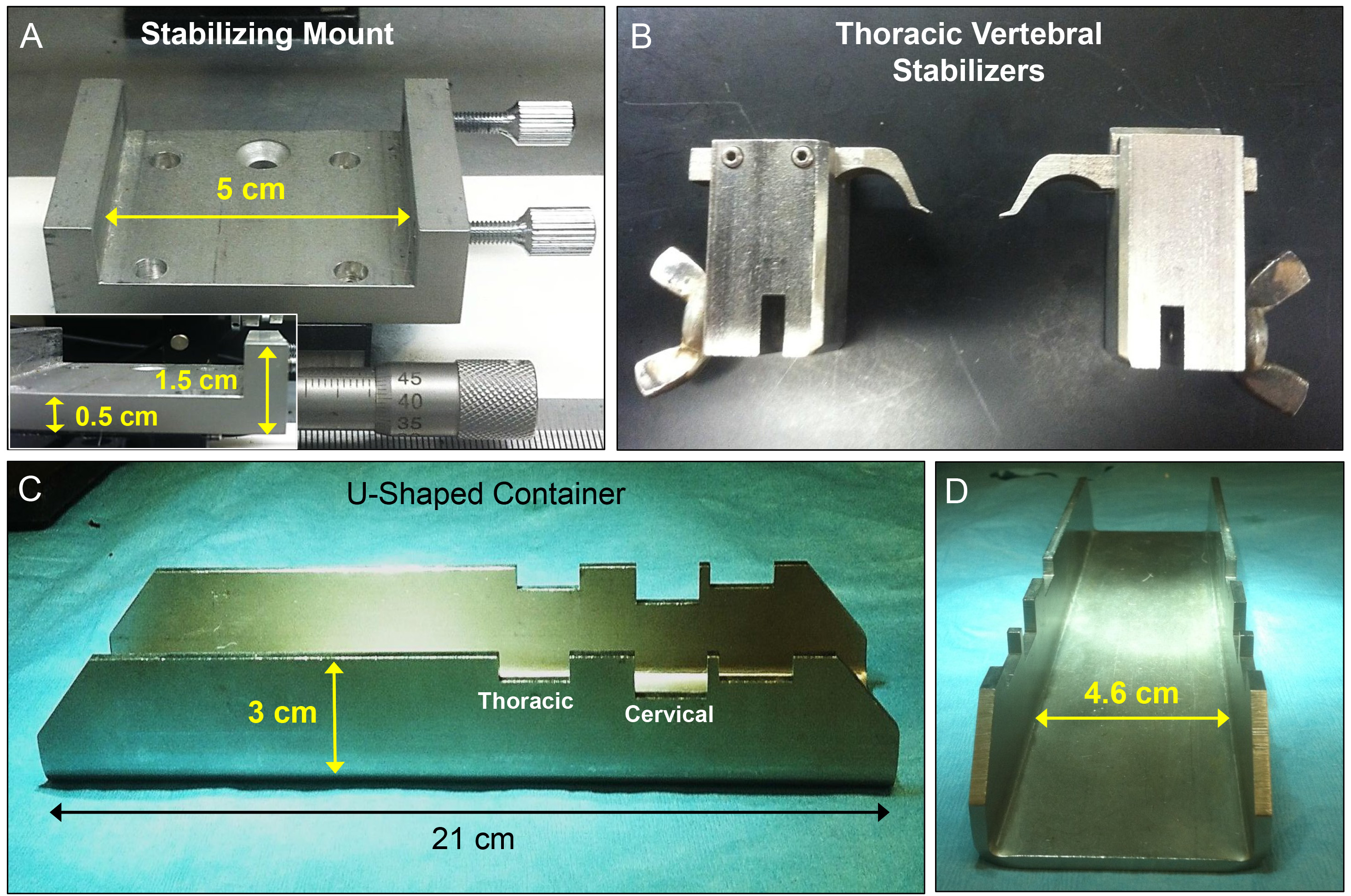 Stabilizing mount and vertebral stabilizers setup for biomechanical testing diagram.