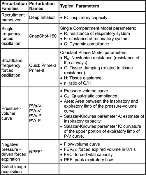 figure-results-2 Perturbation methods chart with parameters for respiratory systems analysis and data acquisition.