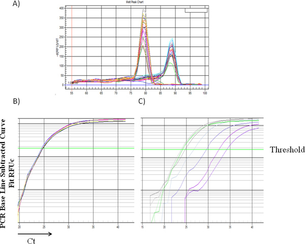 PCR analysis graphs displaying melting curves and amplification plots for DNA quantification.