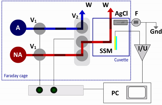 figure-results-2 figure-results-2