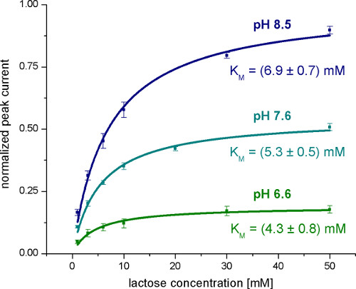 Lactose concentration vs. peak current graph at pH 6.6, 7.6, 8.5; enzyme kinetics analysis.