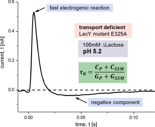 Electrogenic reaction graph; LacY mutant E325A analysis, current vs. time, τ₀ equation.