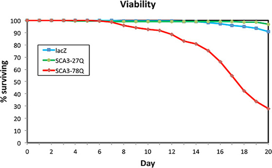 Viability graph showing % survival over 20 days for lacZ, SCA3-27Q, SCA3-78Q, viability analysis.
