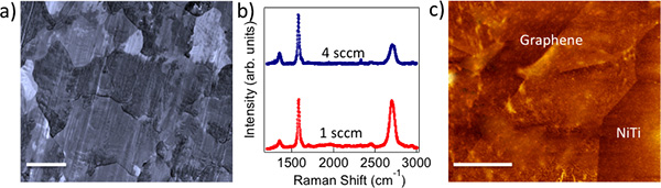 figure-results-1 Raman shift graph, SEM and microscopy images show graphene growth on NiTi at varying gas flows.