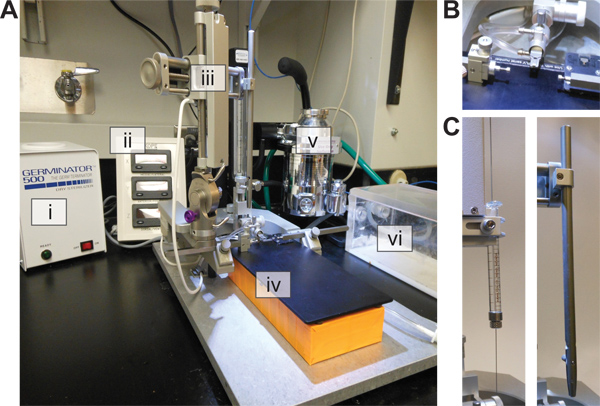 figure-results-2 Laboratory organ bath experiment setup; biomechanics; labeled equipment; muscle contraction study.