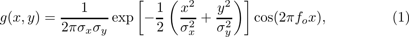 Gaussian function formula with cosine, math equation for signal processing analysis.