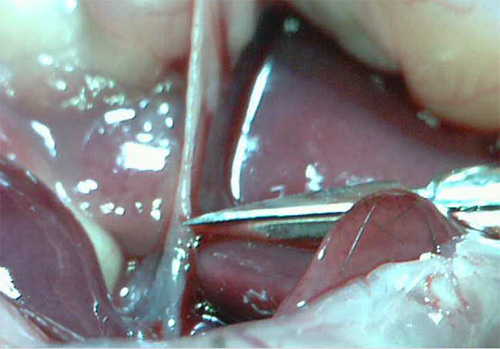figure-results-2 figure-results-2