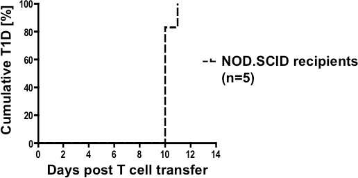 figure-results-3 Cumulative T1D onset graph; NOD.SCID T cell transfer; diabetes induction analysis; line chart.