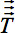 figure-protocol-11