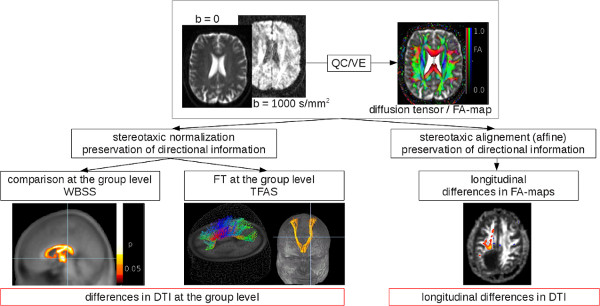 Diffusion tensor imaging diagram; FA-map analysis, DTI differences, stereotaxic normalization.