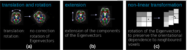 Static equilibrium diagram: eigenvector translation, extension, nonlinear transformation in voxel analysis.