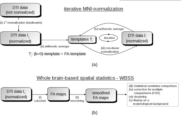 DTI data iterative MNI-normalization, whole brain spatial statistics diagram, FA maps, voxel analysis.