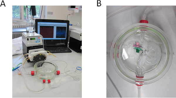 Spectroscopy setup with data analysis; includes optical components and spectra display on laptop.