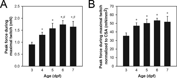 figure-results-8 Bar graphs showing peak force in muscle twitch by age; data analysis of force normalized to CSA.