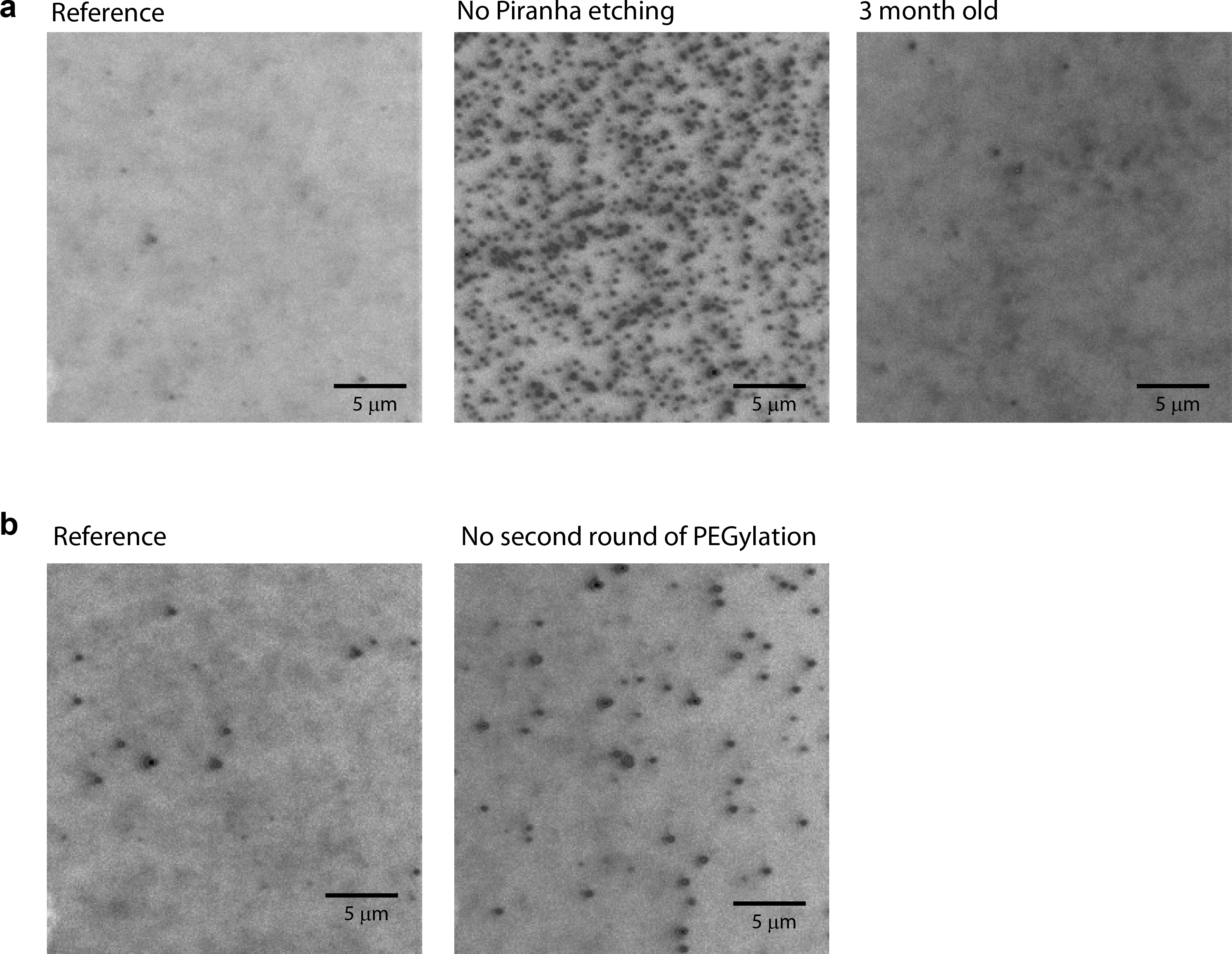 Microscopy images: nanoparticle distribution post-Piranha etching and PEGylation comparison.